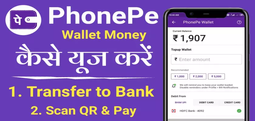Scan and Pay From PhonePe Wallet